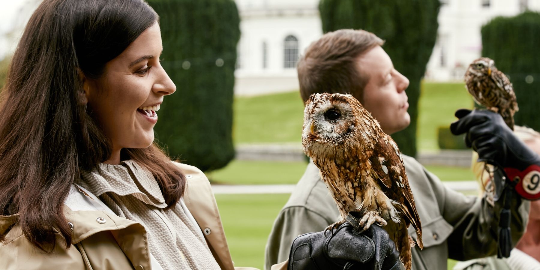 Falconry - Banner (3)