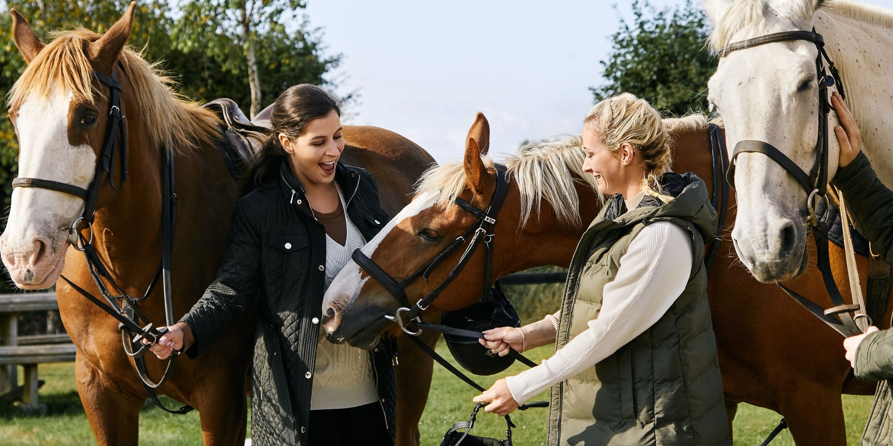 Horse Riding - banner (4)