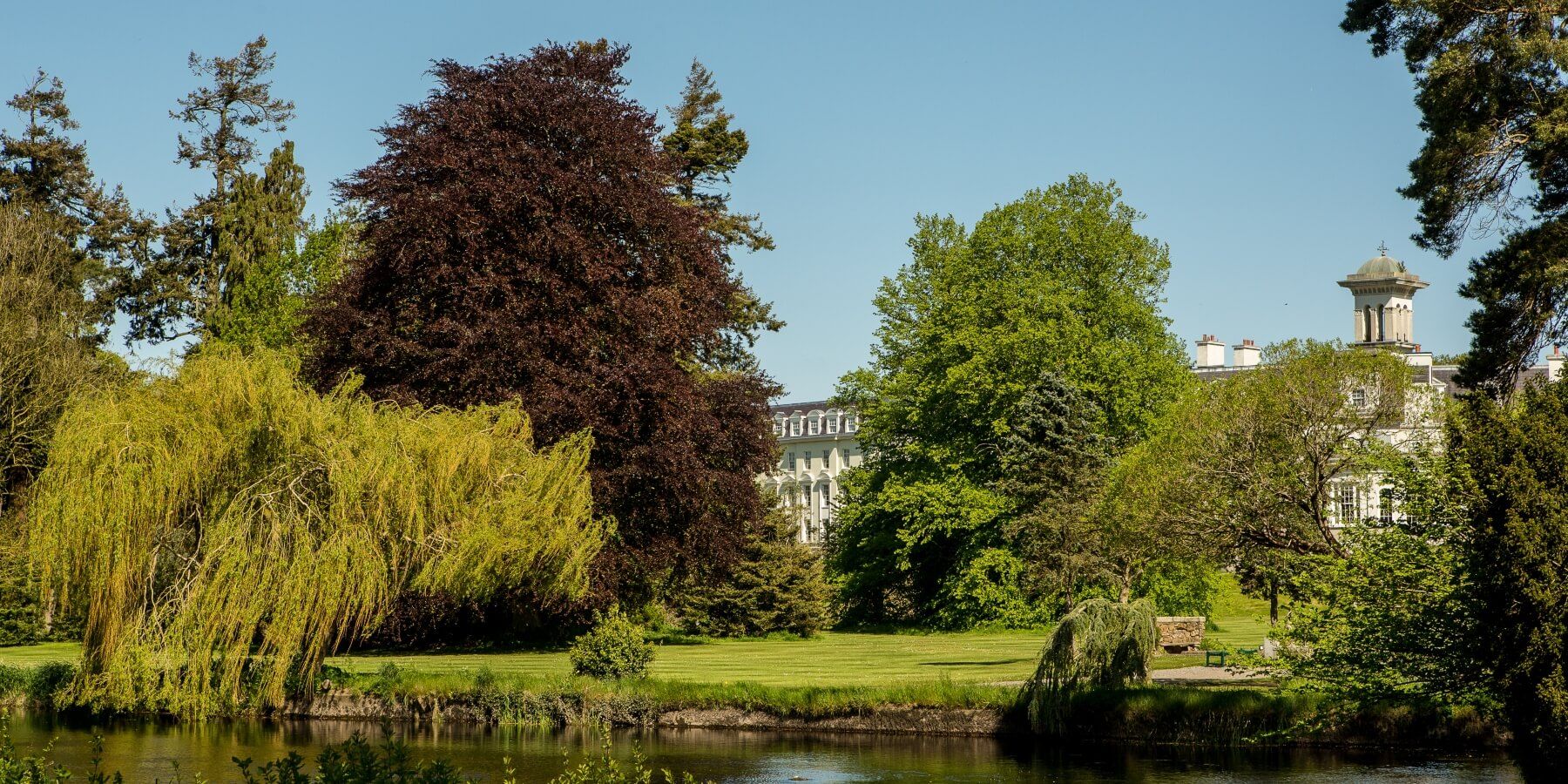 Garden Walks -Banner