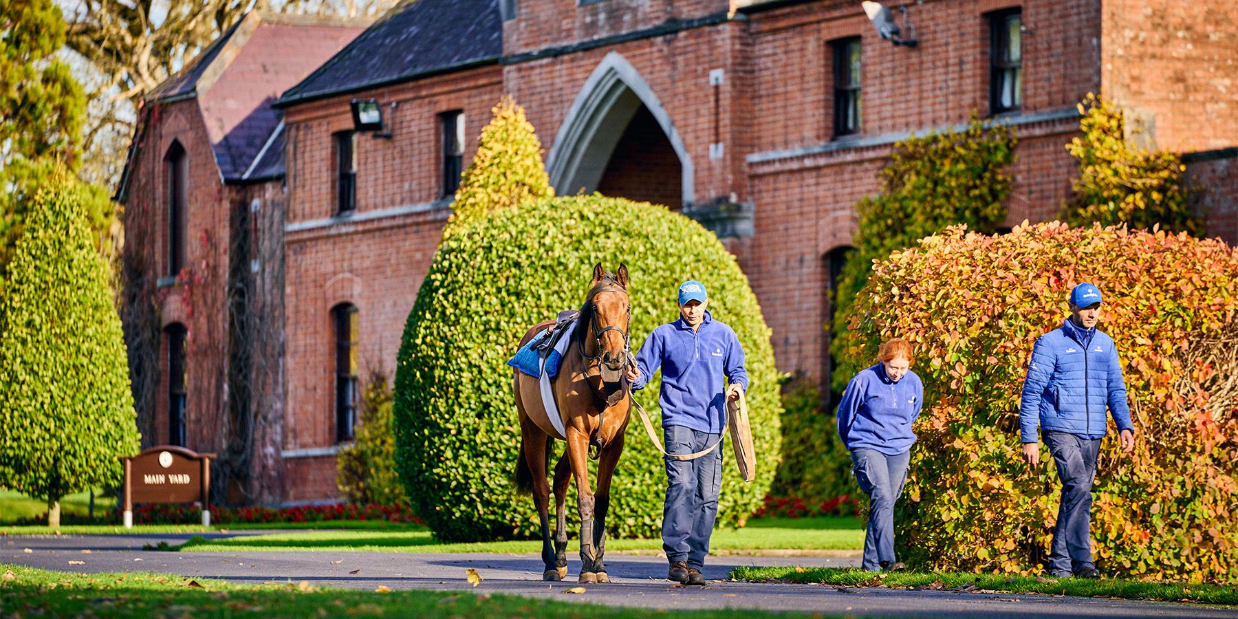 1800x900 thoroughbred country 1