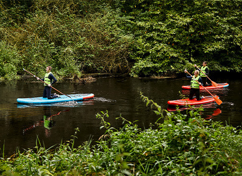Activity feature www.kclub.ie_v2