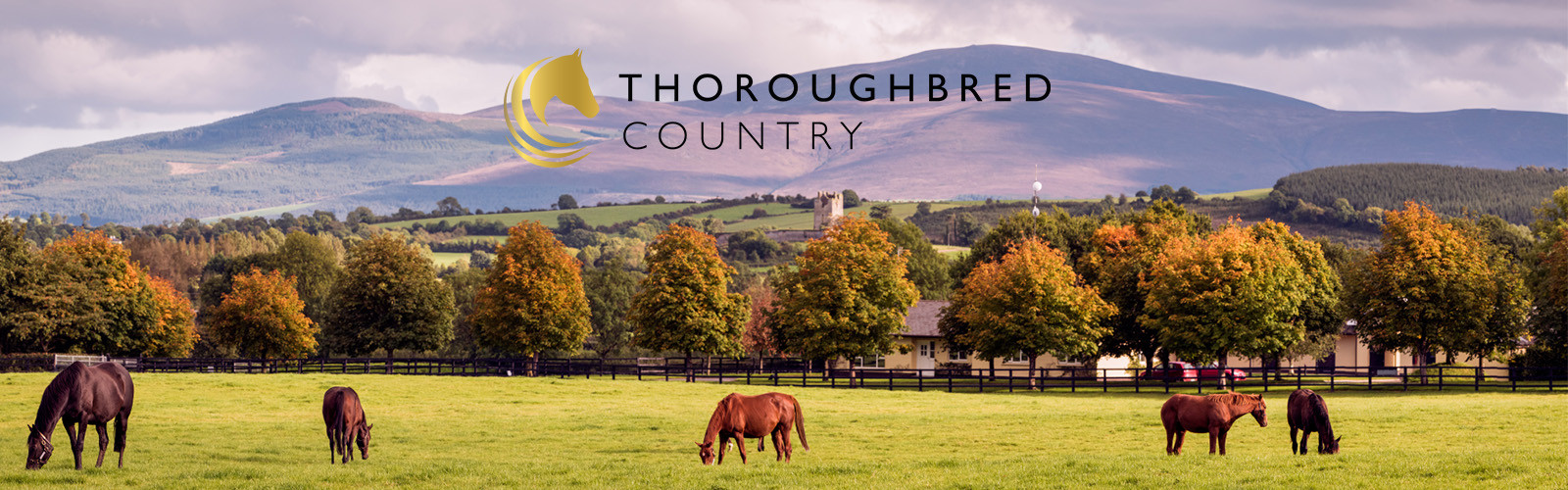 Thoroughbred country x different logo www.kclub.ie_v2
