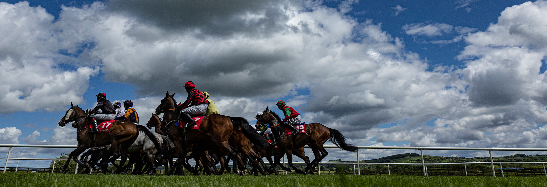 Banner punchestown www.kclub.ie_v2