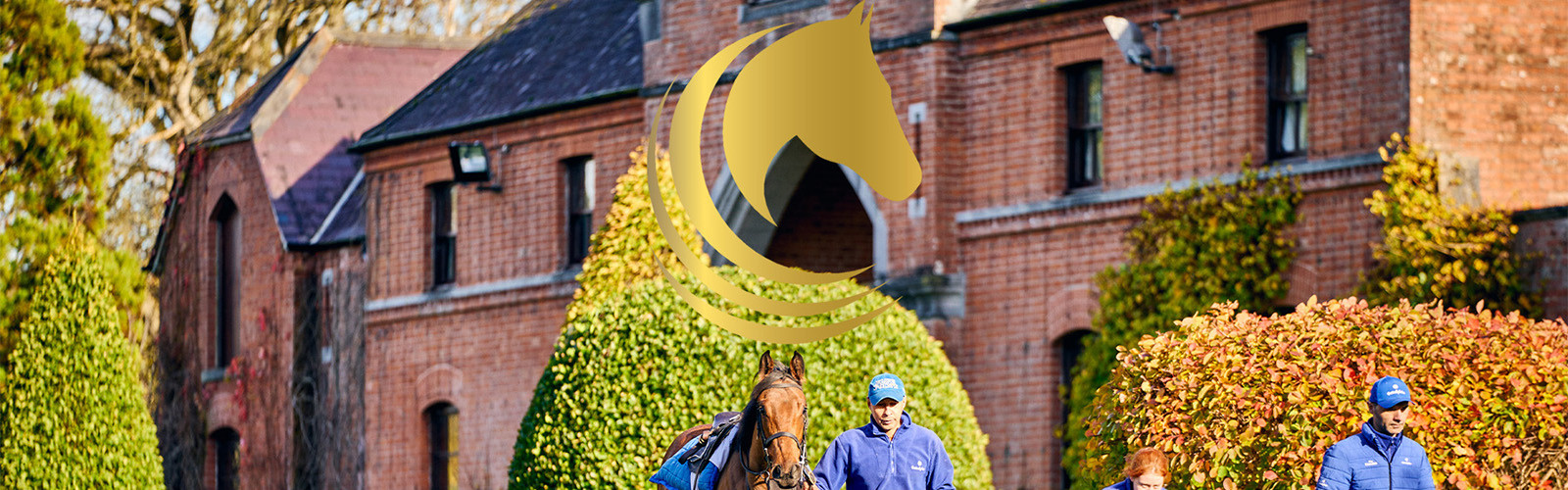 Horse country x www.kclub.ie_v2