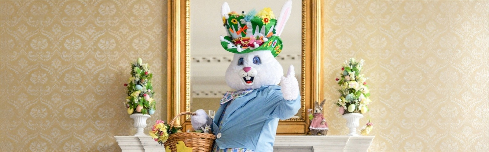 Compressedimage     t www.kclub.ie_v2