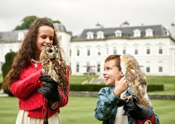 Falconry www.kclub.ie_v2